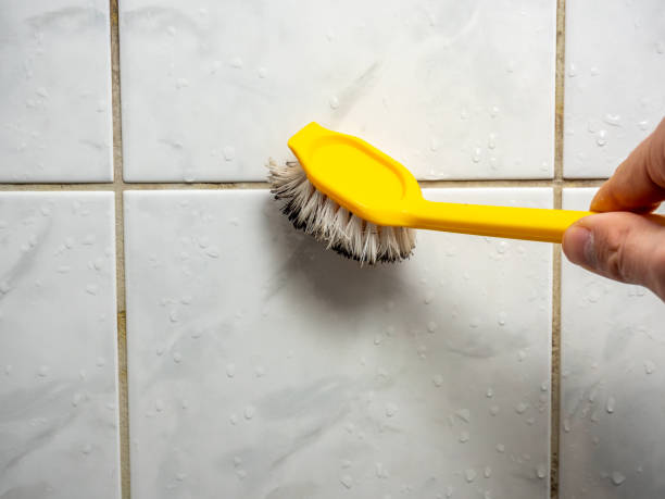 Best Mold Testing  in Bacliff, TX