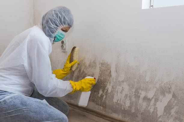 Water Damage Restoration in Bacliff, TX