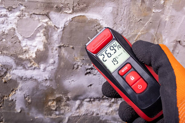 Best Residential Mold Removal  in Bacliff, TX