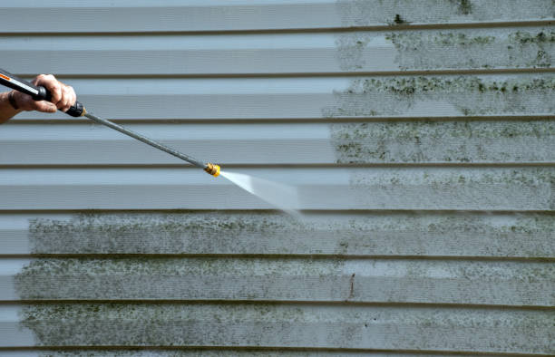 Certified Mold Removal in Bacliff, TX