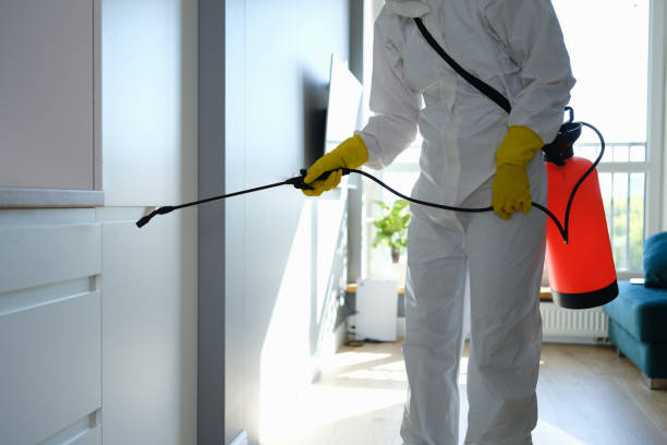 Best Mold Testing and Removal  in Bacliff, TX