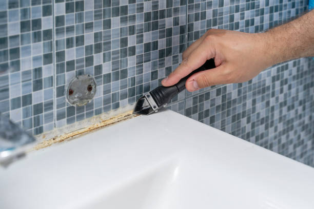 Best Mold Cleaning Services  in Bacliff, TX